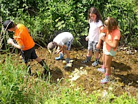 Projekt "Trinkwasserschule" der 3b mit dem Nationalpark Hohe Tauern
