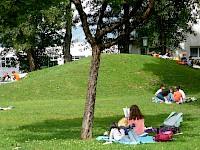 Lesepicknick im Park