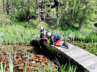 Sagenwanderung durch den Kollingwald