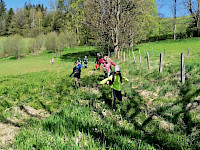 Sagenwanderung durch den Kollingwald