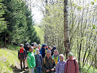 Sagenwanderung durch den Kollingwald