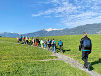 Sagenwanderung durch den Kollingwald