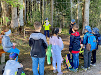 Sagenwanderung durch den Kollingwald