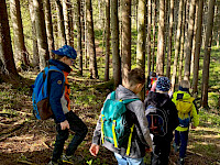 Sagenwanderung durch den Kollingwald