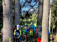 Sagenwanderung durch den Kollingwald