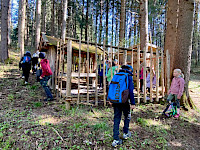 Sagenwanderung durch den Kollingwald