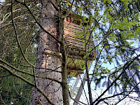 Sagenwanderung durch den Kollingwald