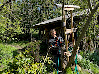 Sagenwanderung durch den Kollingwald