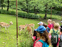 Wanderung zur Einsiedelei