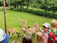 Wanderung zur Einsiedelei