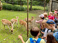 Wanderung zur Einsiedelei