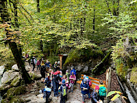 Seisenbergklamm