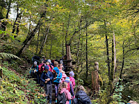 Seisenbergklamm